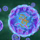 Polio Virus